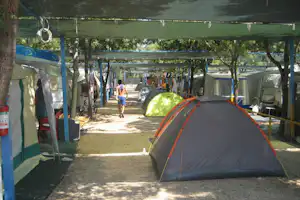 Camping Mattinata - Wohnwagen- und Zeltstellplatz im Schatten auf dem Campingplatz