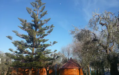Camping Mattinata