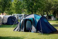 Camping Pressegger See  Camping Max Presseggersee  - Zeltwiese