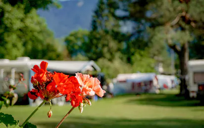 Camping Pressegger See