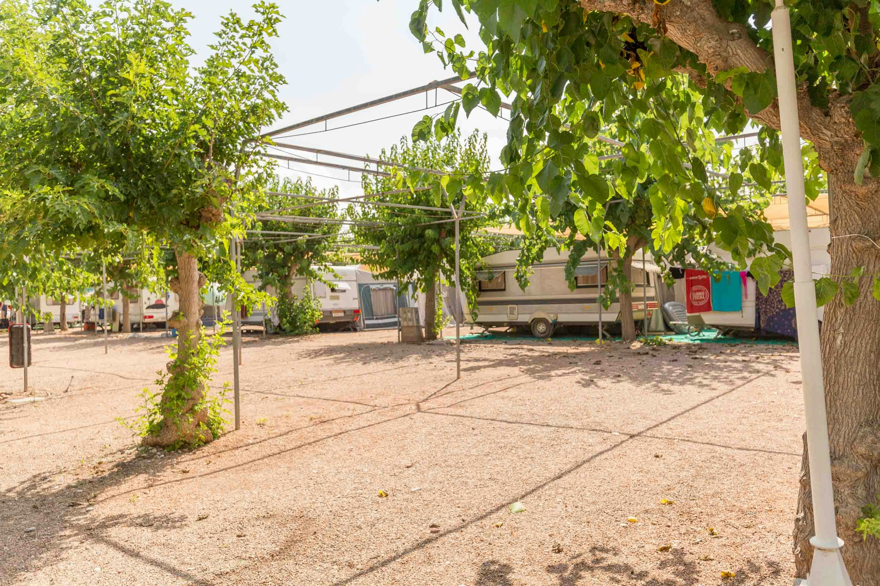 Camping tres estrellas Mediterráneo  Camping Mediterráneo - Standplätze auf dem Campingplatz