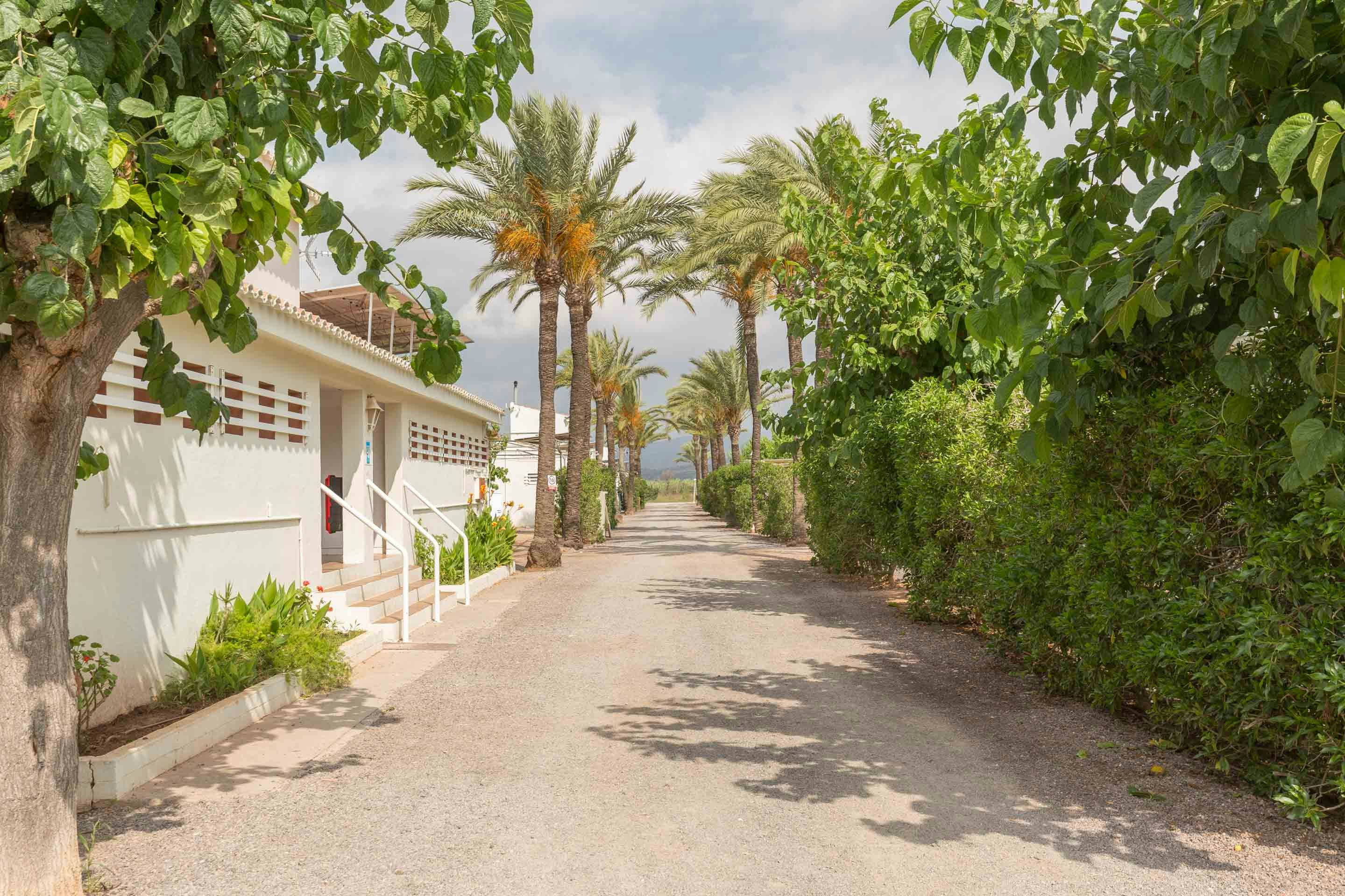 Camping tres estrellas Mediterráneo  Camping Mediterráneo - Standplätze auf dem Campingplatz