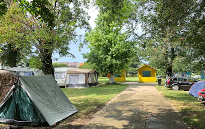 Camping Meduza