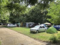 Camping Meduza - Zeltplatz auf der Wiese im Grünen auf dem Campingplatz