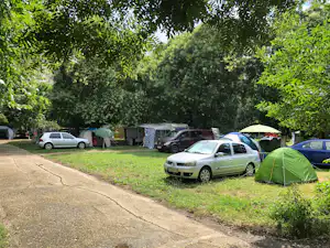 Campingplatz mit mehreren Zelten und parkenden Autos am Grasrand unter großen Bäumen.