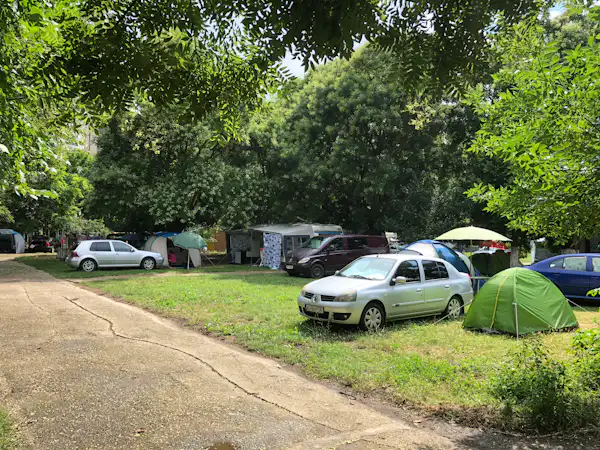 Camping Meduza