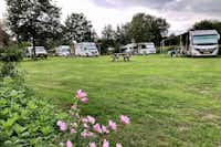 Camping Meistershof - Stellplätze mit grünem Rasen und Blumen