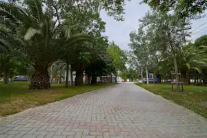 Campingallee mit gepflastertem Weg, Palmen und Bäumen, daneben geparkte Wohnmobile und ein Gebäude am Rand.