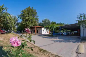 Blumen am Wegesrand vor Campinggebäuden und überdachtem Bereich, mit Bäumen und geparkten Autos entlang der Straße.