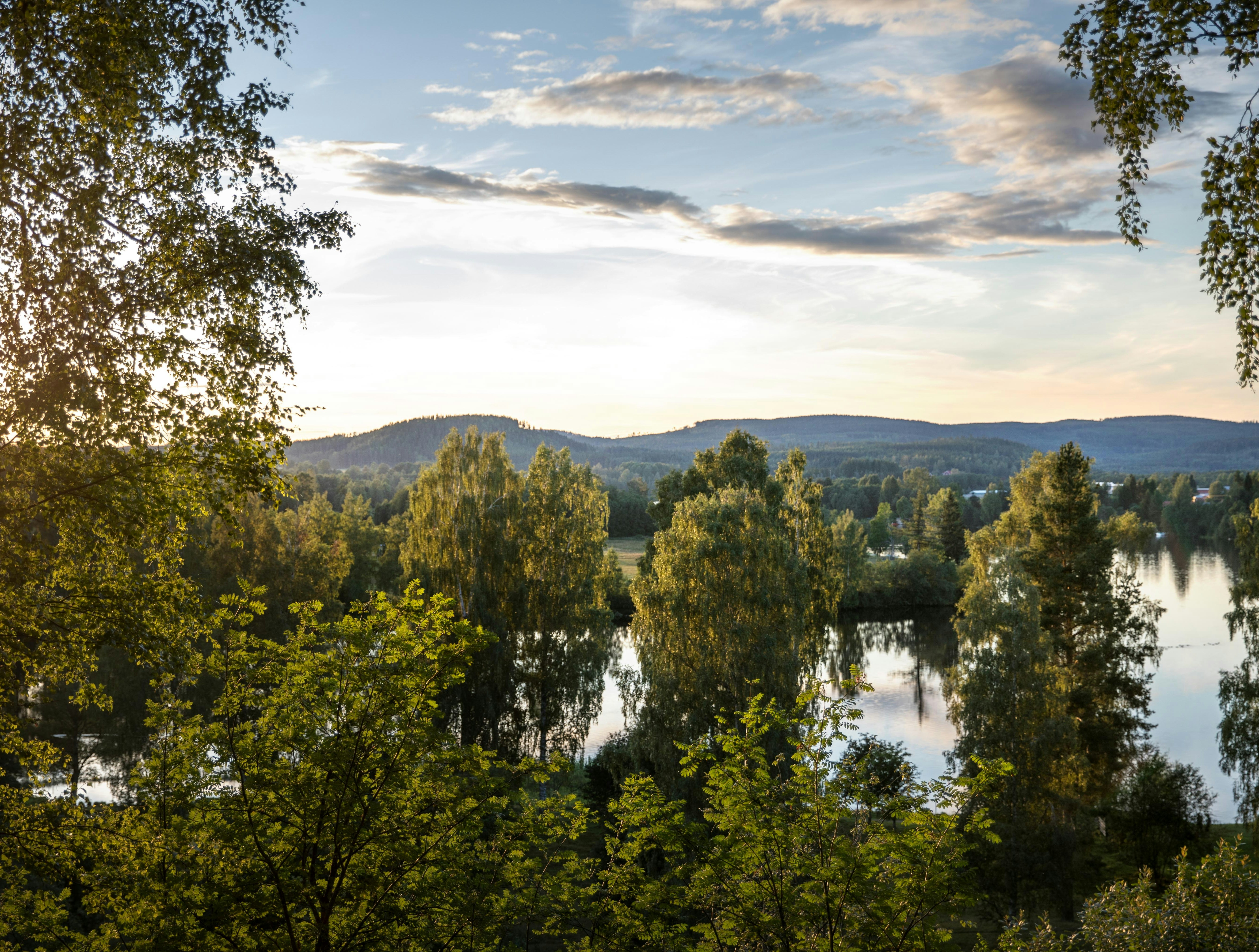 Blick über einen See mit dichtem Ufergrün und hohen Bäumen, dahinter Hügel und ein wolkiger Himmel.