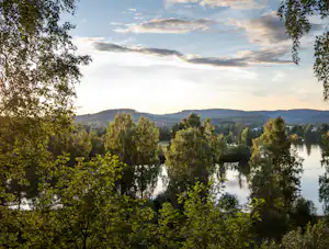 Blick über einen See mit dichtem Ufergrün und hohen Bäumen, dahinter Hügel und ein wolkiger Himmel.