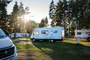 Wohnmobile auf einem Campingplatz zwischen hohen Kiefern, Rasenfläche und Schotterweg, im Hintergrund weitere Fahrzeuge.