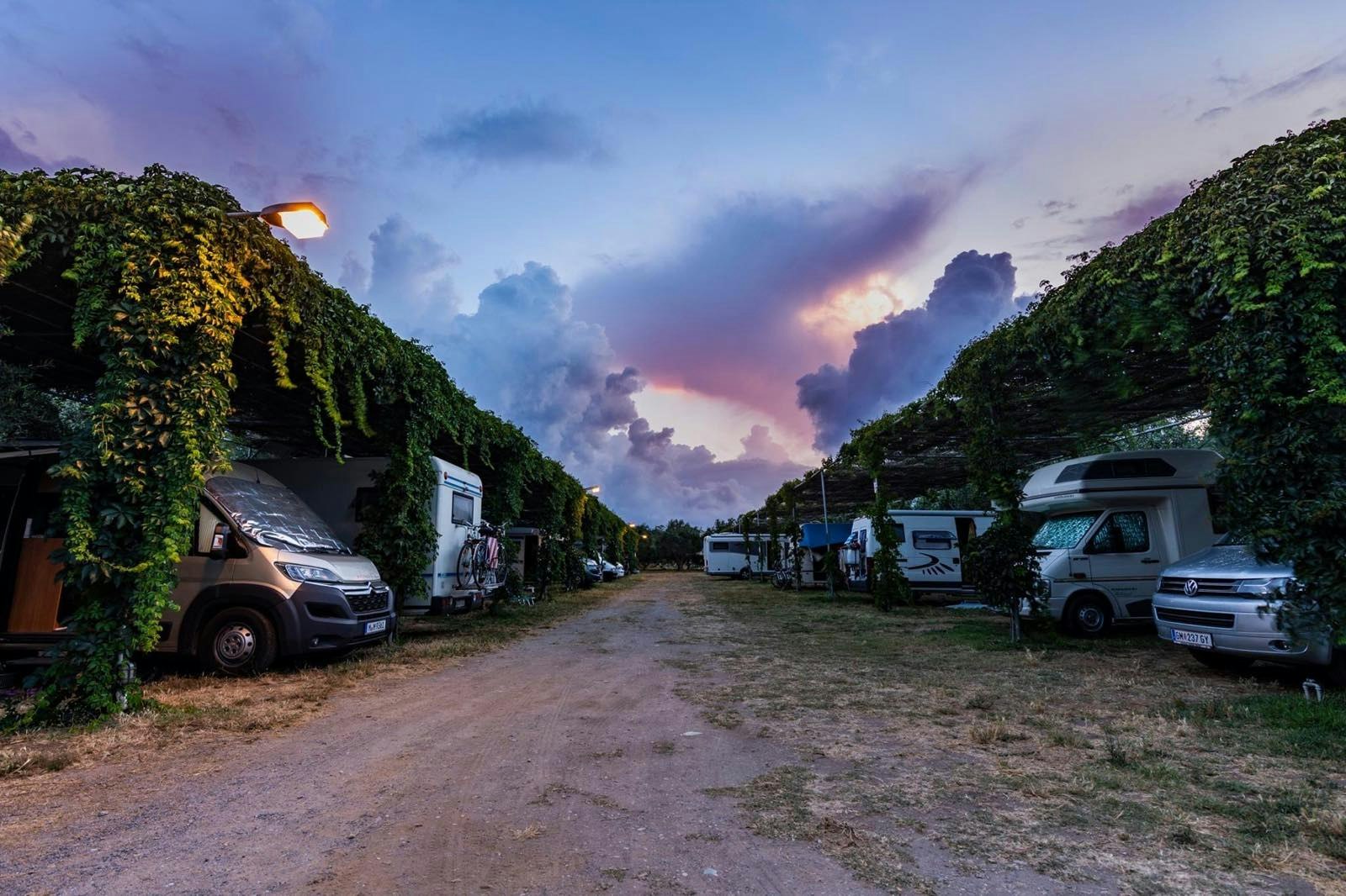 Camping Meltemi - Blick auf die Standplatzreihen 