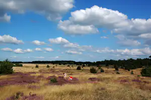Camping Mennorode
