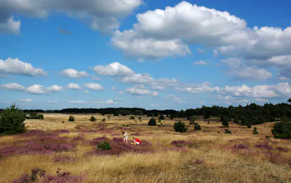 Camping Mennorode