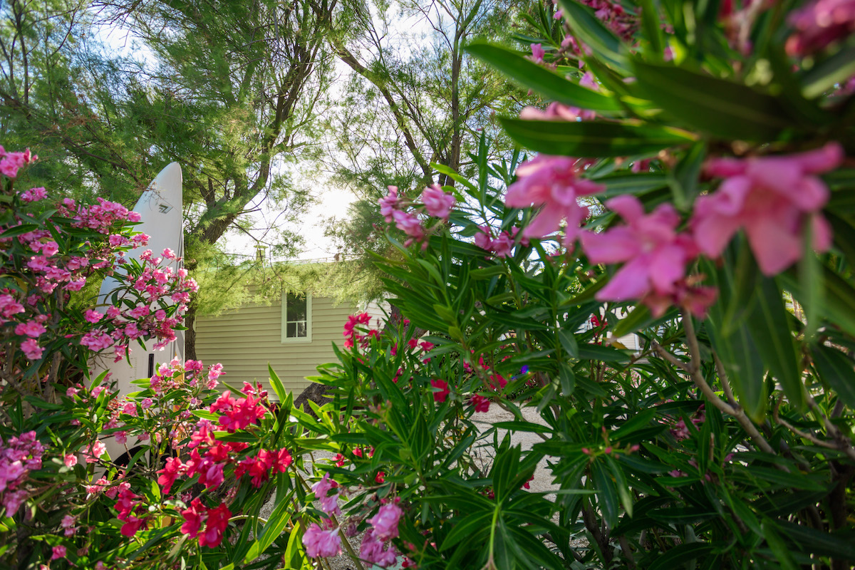 Camping Mer Sable Soleil