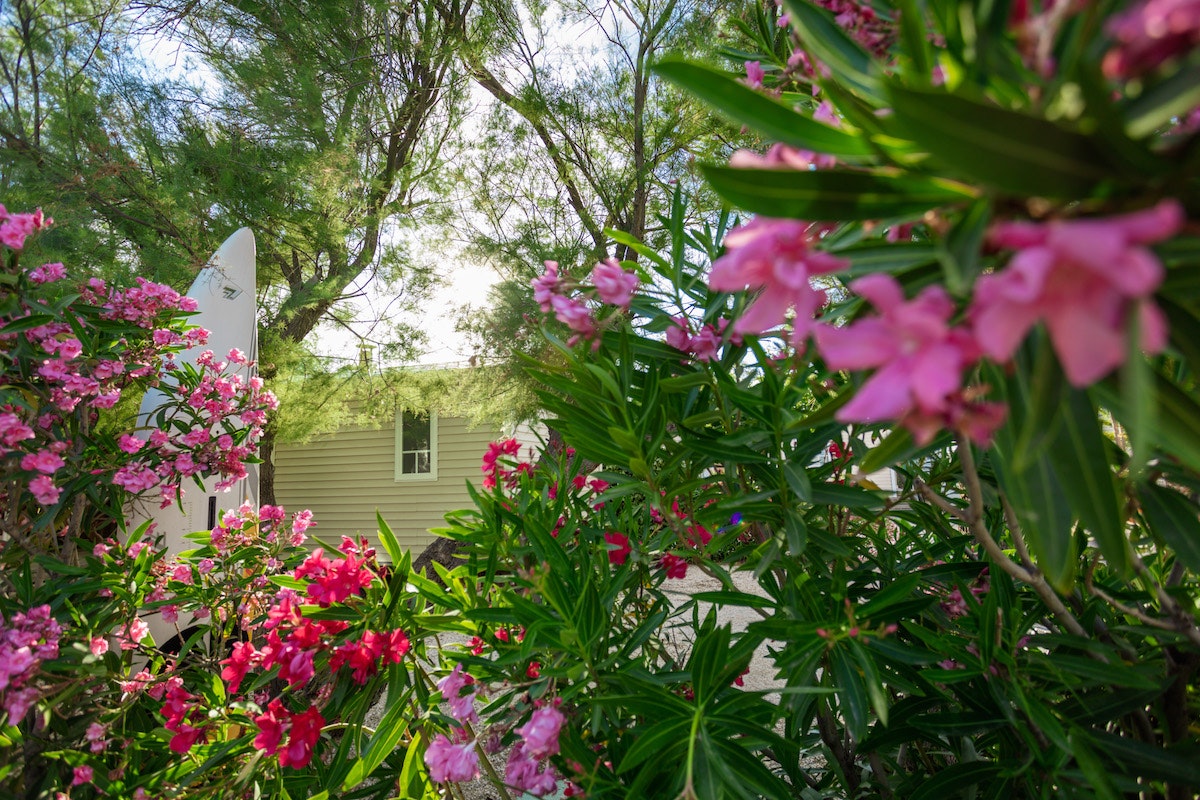 Camping Mer Sable Soleil