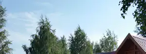 Baumkronen und ein Stück Dach mit Schornstein am Campingplatz vor hellem Himmel.