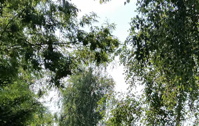 Camping Meridian