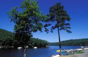 Seeufer mit Bäumen, Steg und Booten am Wasser, im Hintergrund bewaldete Hügel unter klarem Himmel.