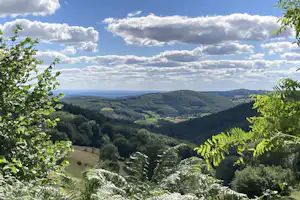 Blick ins Tal mit bewaldeten Hügeln und Wiesen, umrahmt von Blättern im Vordergrund.
