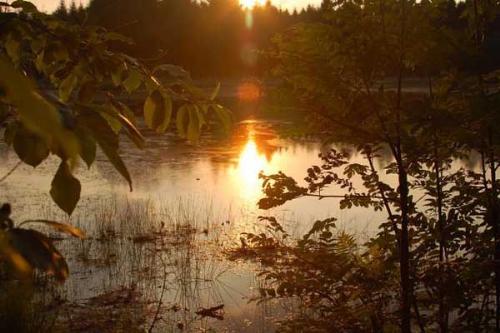 Camping Midden Drenthe