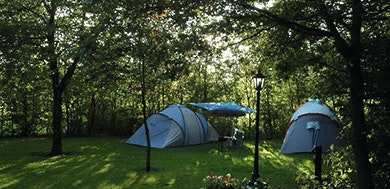 Camping Midden Drenthe