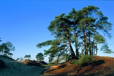 Camping Midden Drenthe