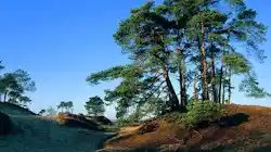 Camping Midden Drenthe