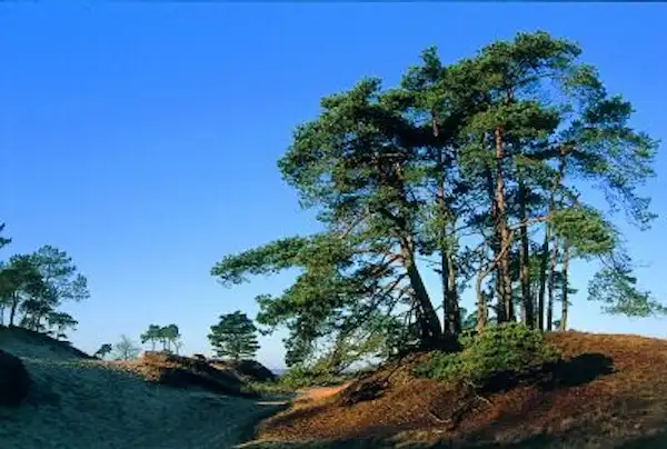 Camping Midden Drenthe