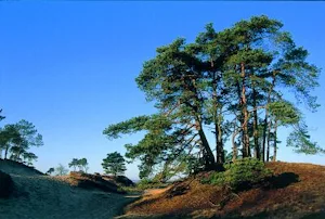 Camping Midden Drenthe