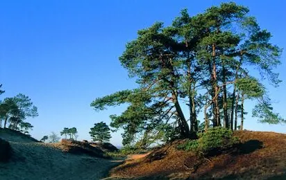Camping Midden Drenthe