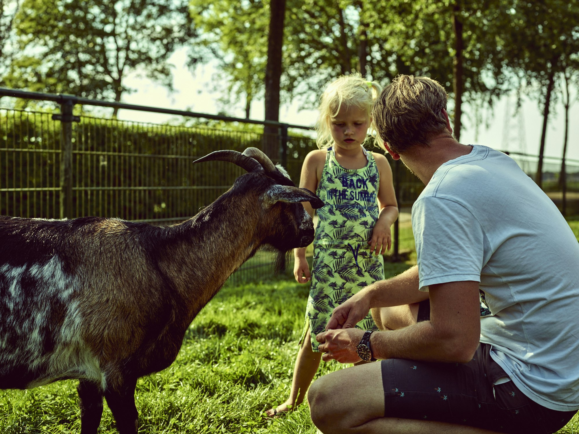 Camping Midden Drenthe