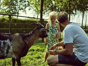 Camping Midden Drenthe