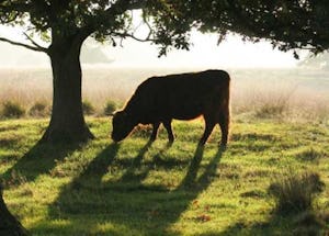 Camping Midden Drenthe
