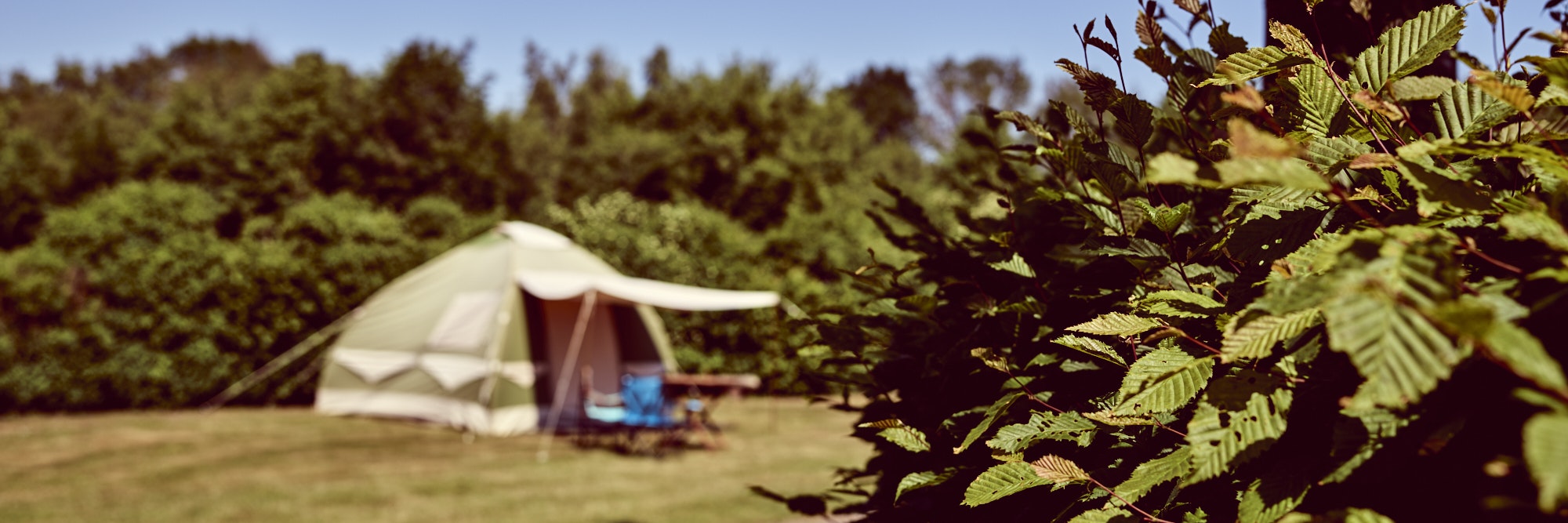 Camping Midden Drenthe