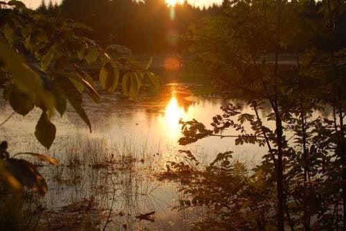 Camping Midden Drenthe