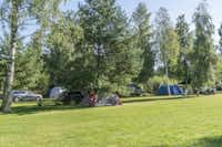 Camping Miķeļbāka - Zeltplätze auf der Wiese