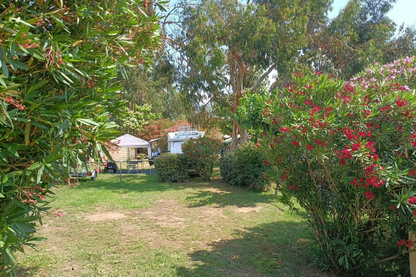 Camping Milella - Wiese auf dem Campingplatz