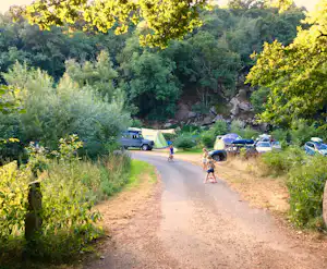 Campingweg durch Grün mit geparkten Autos und Wohnwagen, umgeben von Bäumen und Sträuchern.