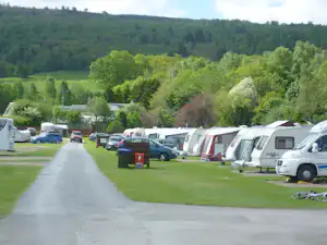 Reihe von Wohnwagen und Autos auf einem Campingplatz mit Rasenfläche, entlang eines breiten Wegs und umgeben von Wald.