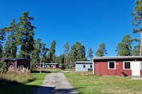 Camping Åminne Fritid - Mietunterkünfte umgeben von Bäumen 