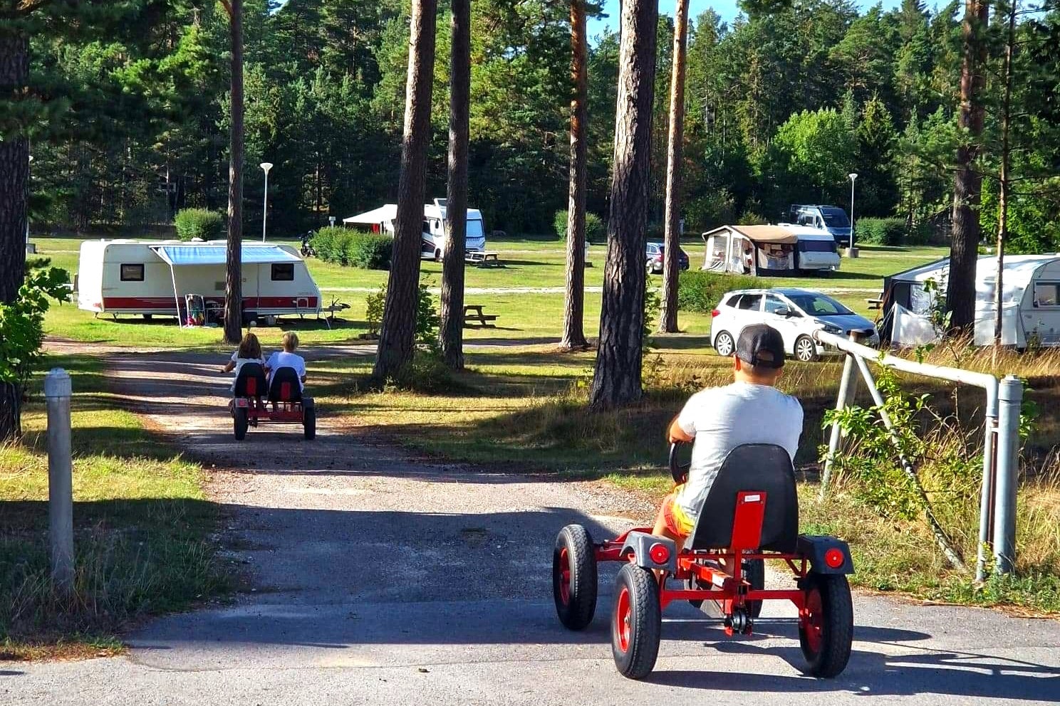 Camping Åminne Fritid - Standplätze abgegrenzt durch kleine Hecken 