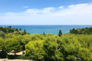 Blick von einem Campingplatz auf grünes Gelände mit Bäumen und das blaue Meer am Horizont.