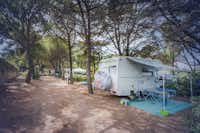 Camping Miramare - Wohnwagen- und Zeltstellplatz unter Bäumen auf dem Campingplatz