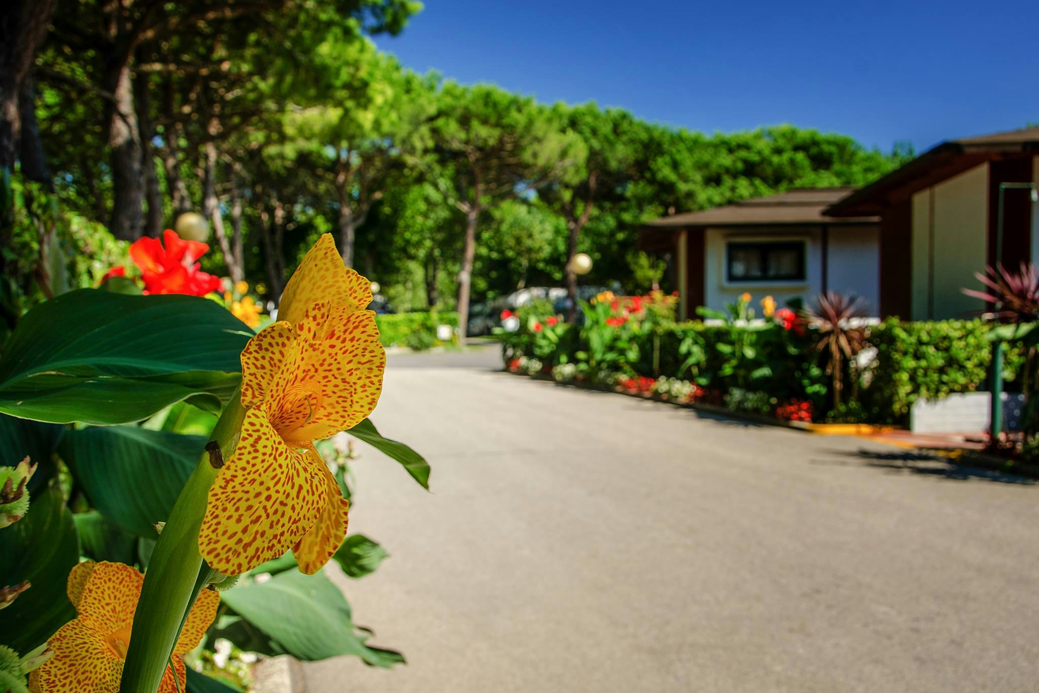 Camping Village Miramare