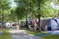 Camping Misano Adriatico - Zelte unter Bäumen an einem Weg des Campingplatzes