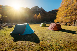 Camping Mistral - Zeltwiese auf dem Campingplatz