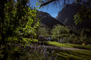 Camping Mittagsspitze - Stellplatzwiese unter Bäumen