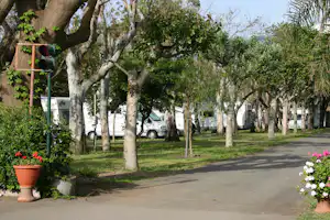 Camping Mokambo - Allee auf dem Campingplatz mit Wohnwagen und Wohnmobilen auf Stellplätzen